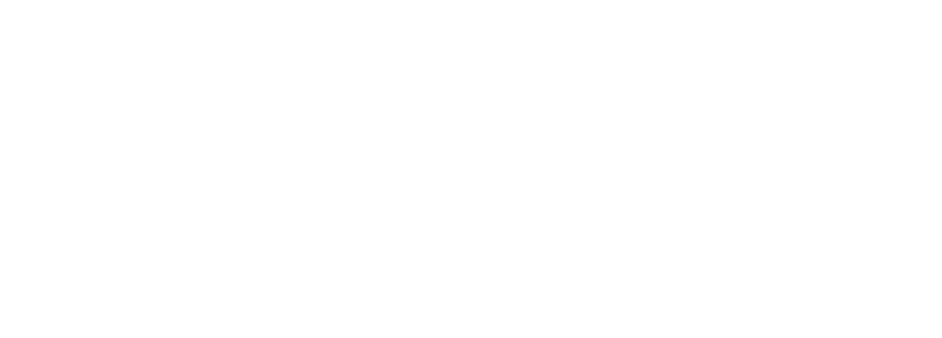 Nudge Network Logo